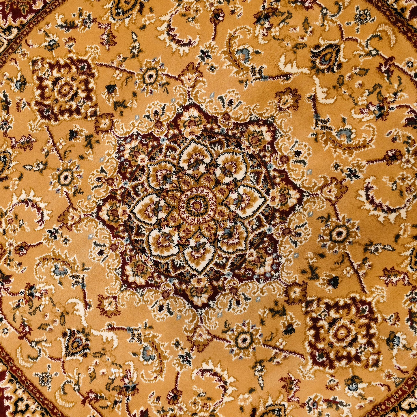 Brown Brown Round Traditional Carpet