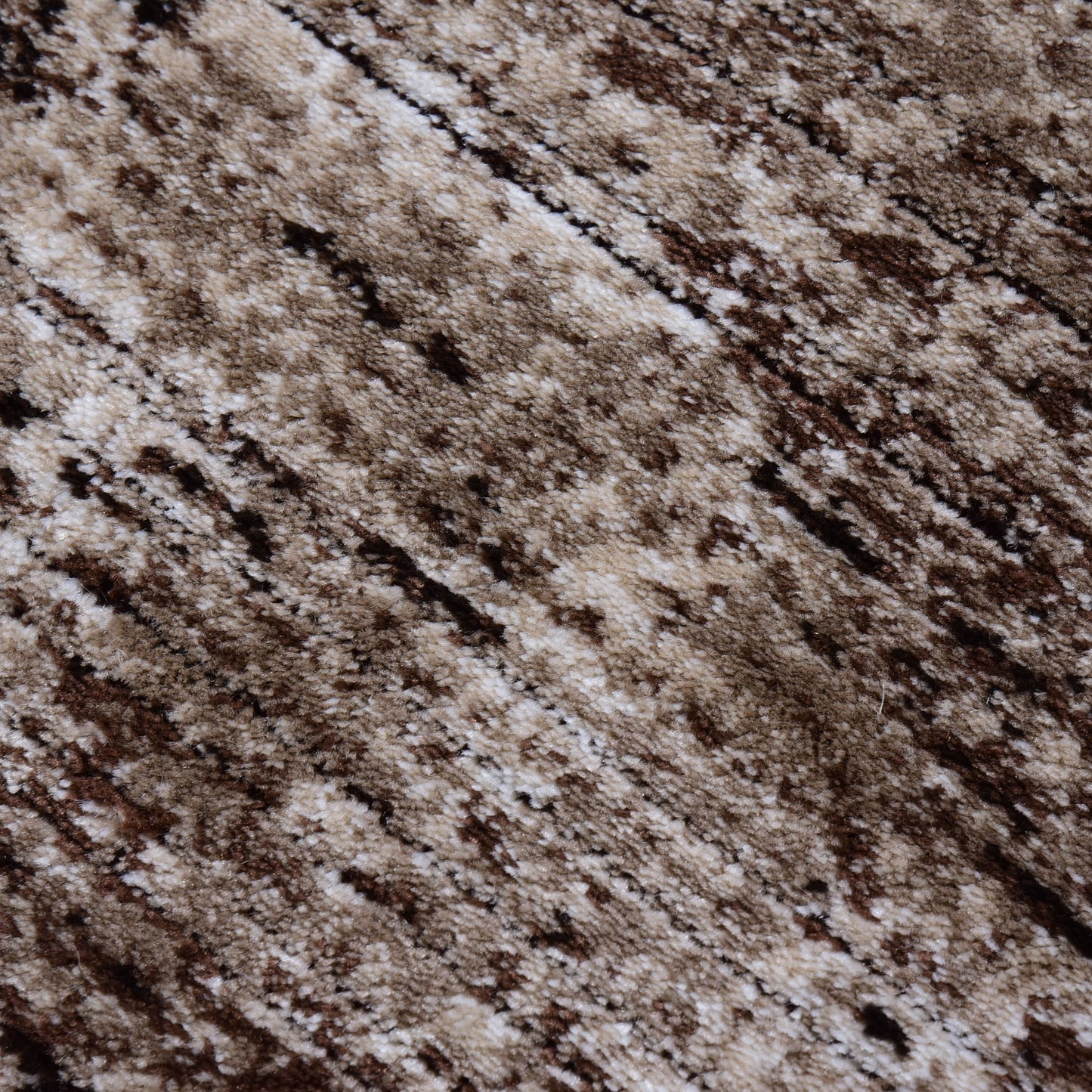 D.Beige/D.Beige Modern Carpet